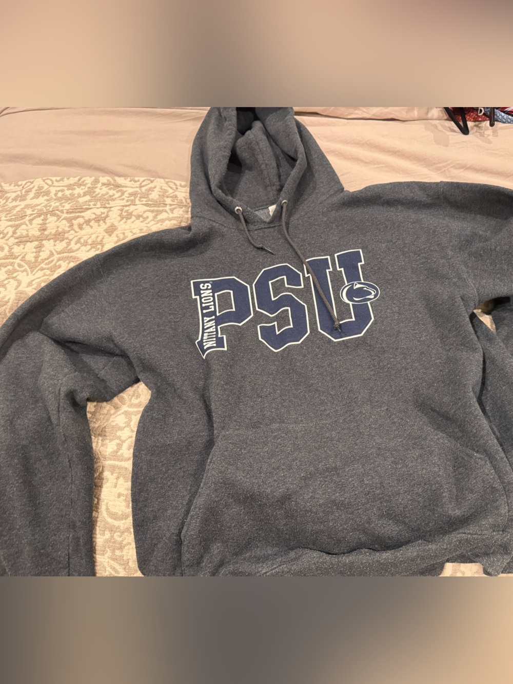 Penn State Nittany Lions Men's Gray Hooded Sweatshirt
